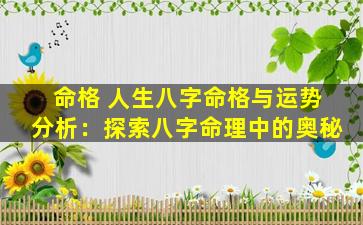 命格 人生八字命格与运势分析：探索八字命理中的奥秘